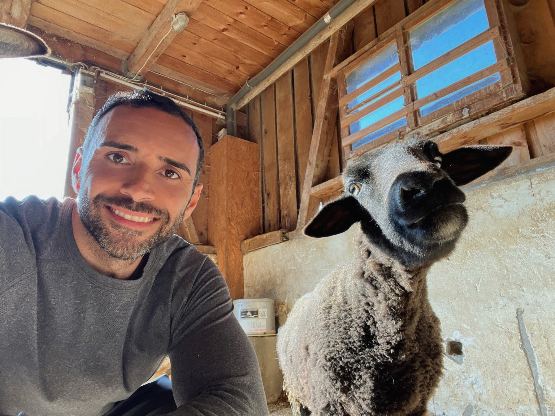 With Mepsy in the barn